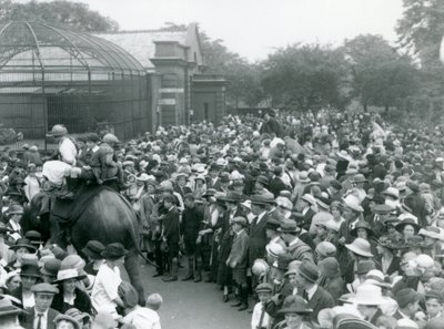 Folle di visitatori guardano un giro in elefante allo Zoo di Londra, vacanza di agosto, 1922 da Frederick William Bond
